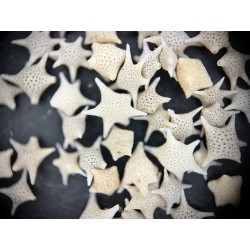 Pendentif Nuit étoilée