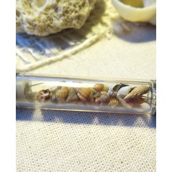 Stylet tactile Méditerranée