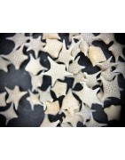 Collection Nuit étoilée